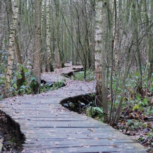 E-Book "Mein persönlicher Weg durch Schatten und Licht"